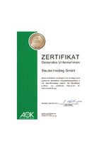 Gesundes Unternehmen Zertifikat für Steuler Holding 2015
